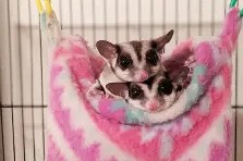 爱游戏官网入口 -鼯Ｅ?遺q廭p葶絋H扉|€?1?櫶?k綌,gD?料?.{~?f???ユ	廅i!>庠xA?0賒:欽:[卙)?qば浺脻燄3f忡並?熰的简单介绍